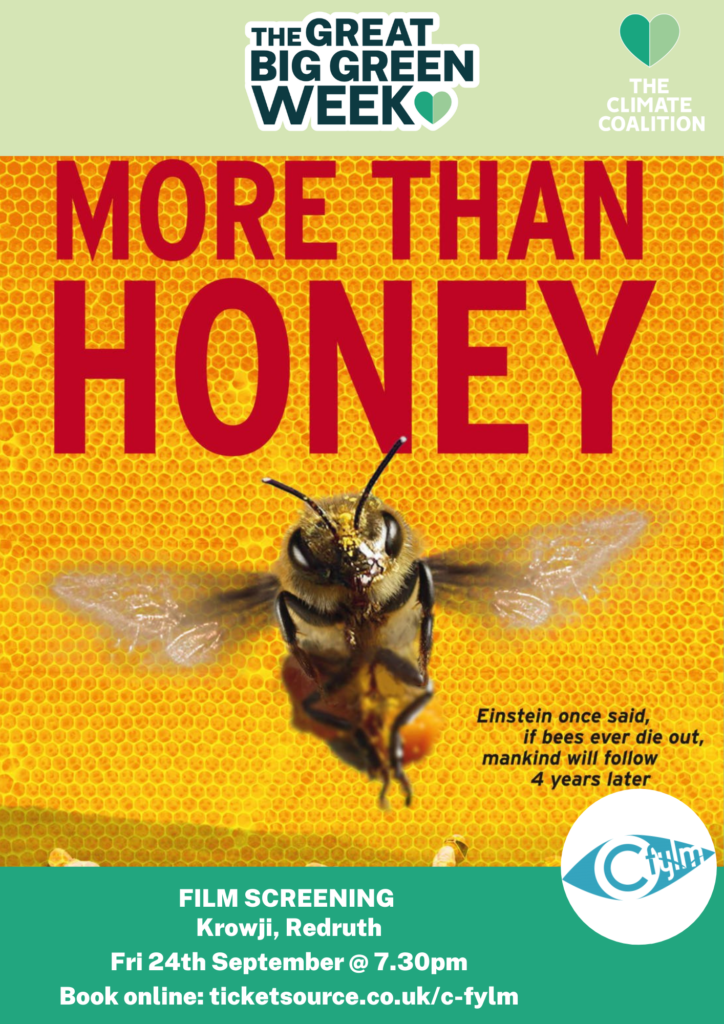 More Than Honey | The Great Big Green Week