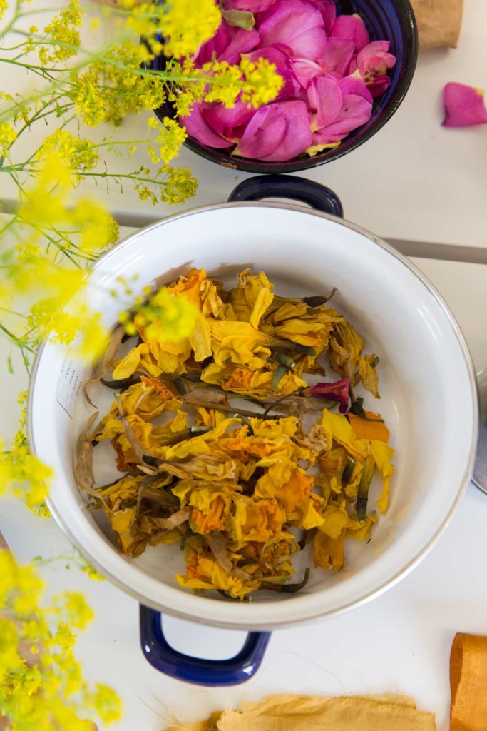 Natural Dye Workshop