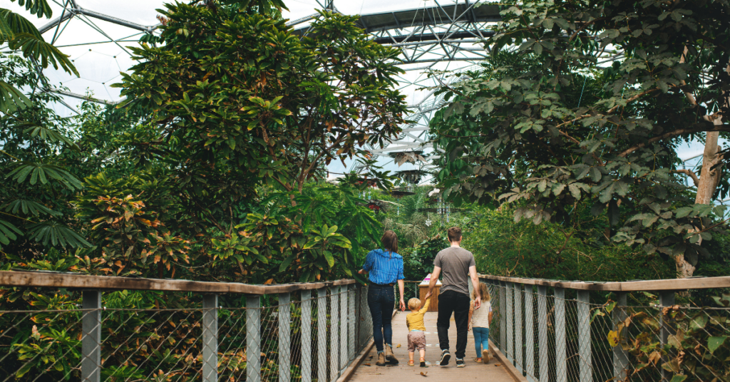 May Half-Term: Octonauts at the Eden Project
