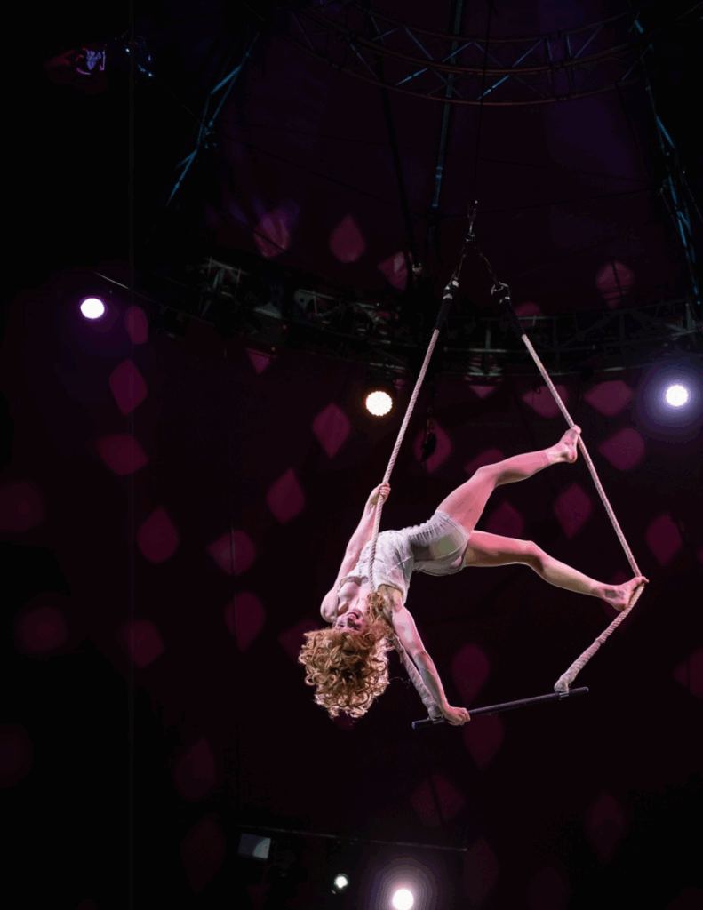 SABOTAGE: NoFit State Circus