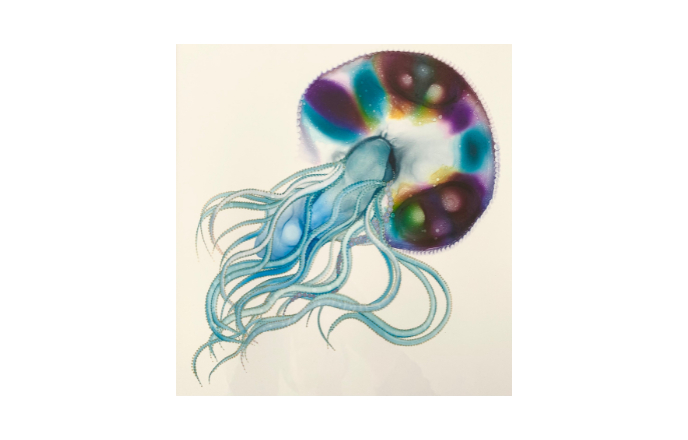 Exhibition: Jenny Bunt