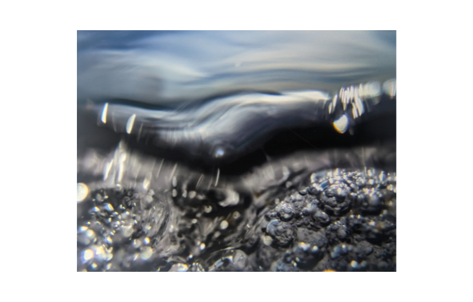 Exhibition: Cass Bisco