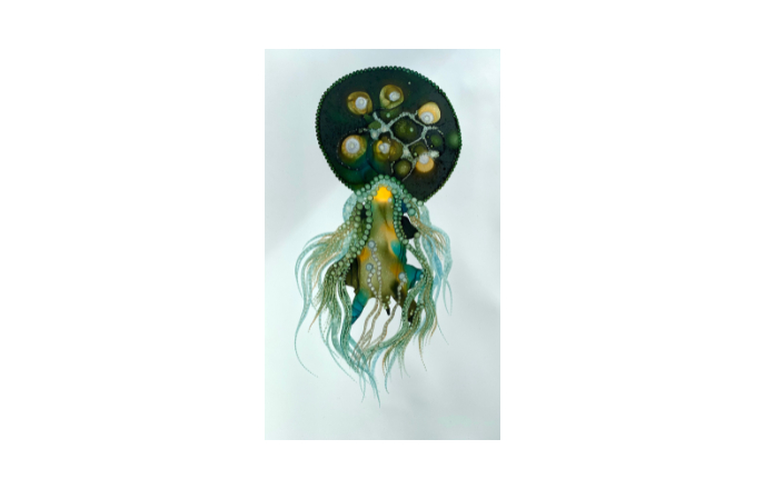 Exhibition: Jenny Bunt