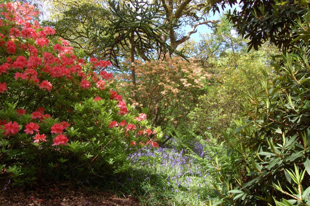 Trevince Gardens