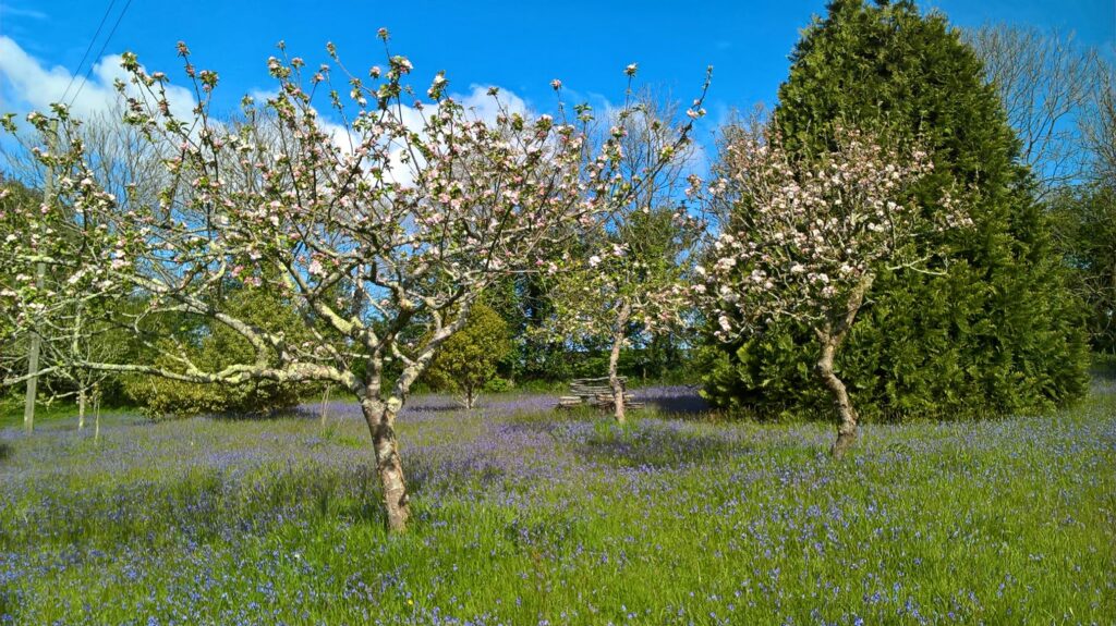 Trevince Gardens