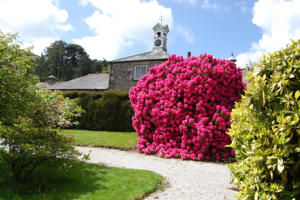 Trevince Gardens