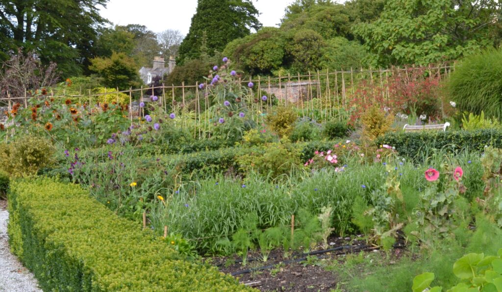 Trevince Gardens