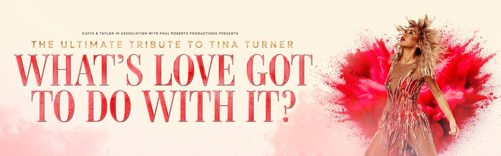 A Tribute to Tina Turner – Hall for Cornwall