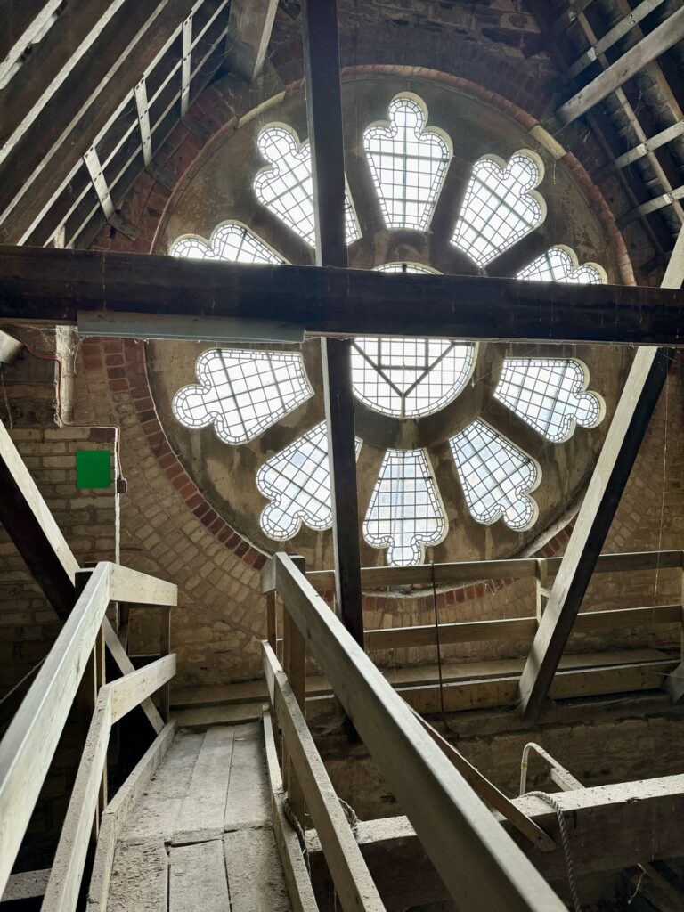 Roof Tours