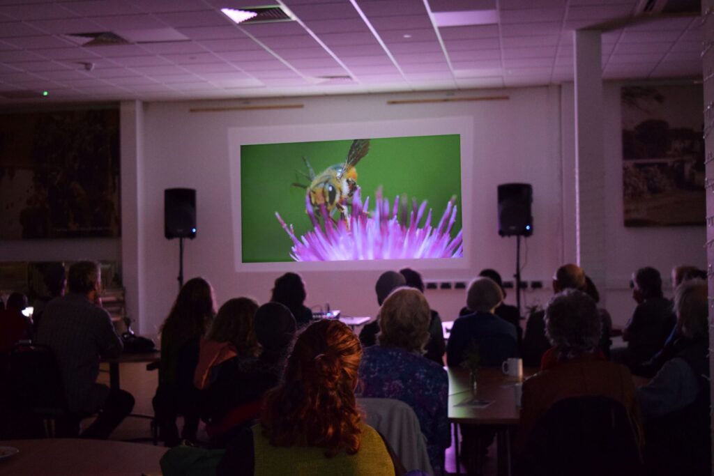 Power Station - Social Cinema Screenings