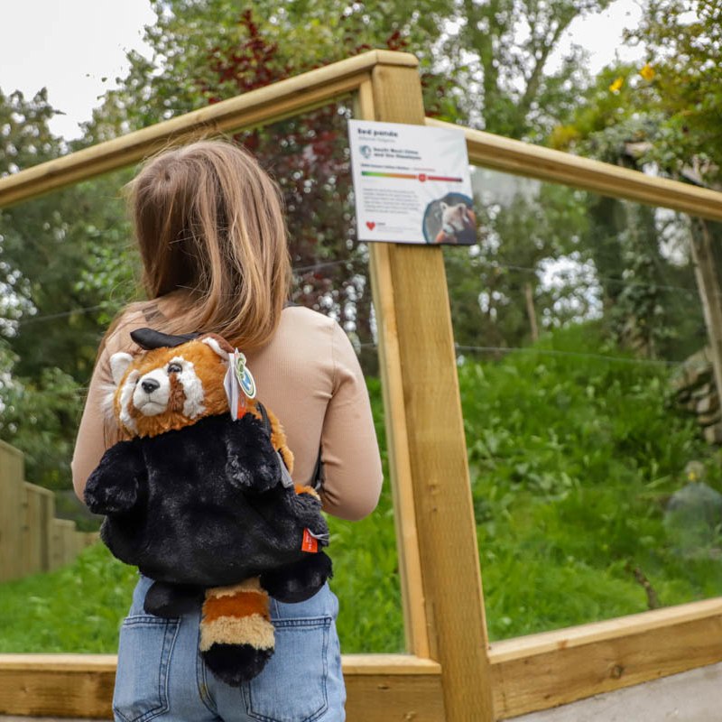 Summer at Newquay Zoo