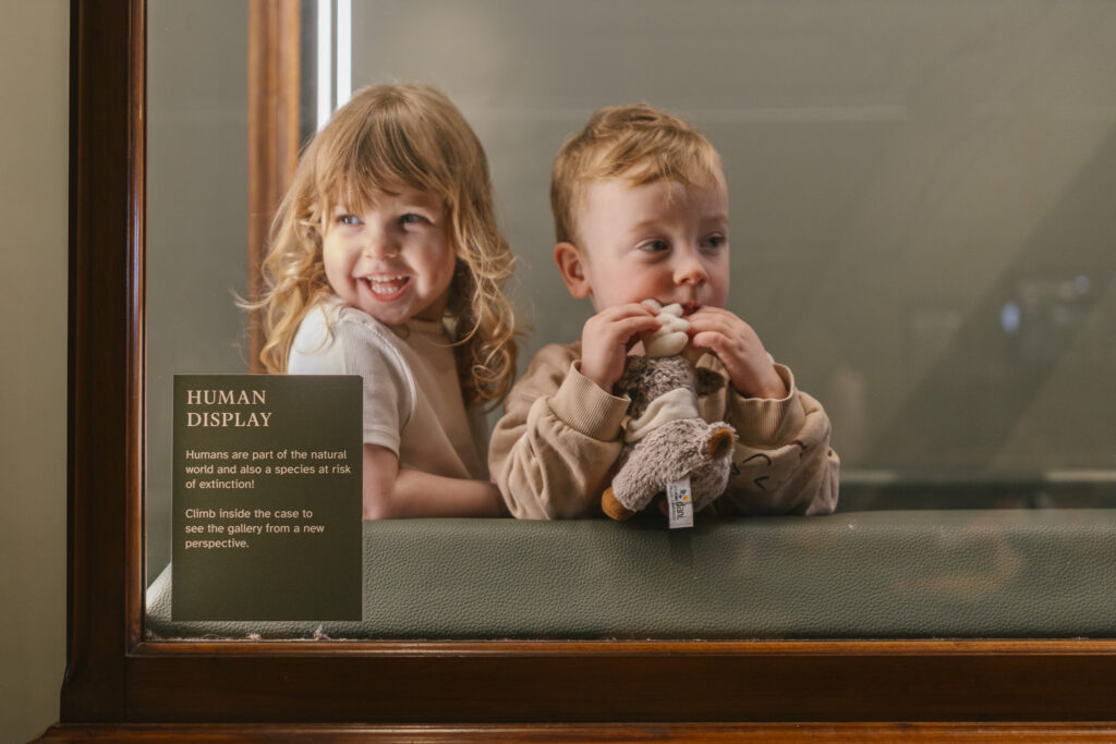 Summer at the Museum