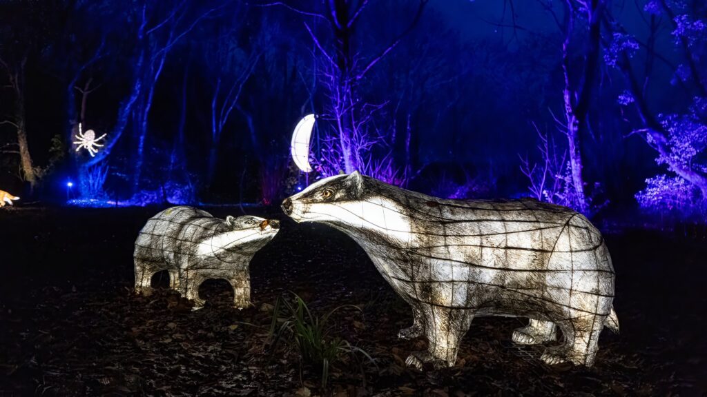 Heligan Night Garden