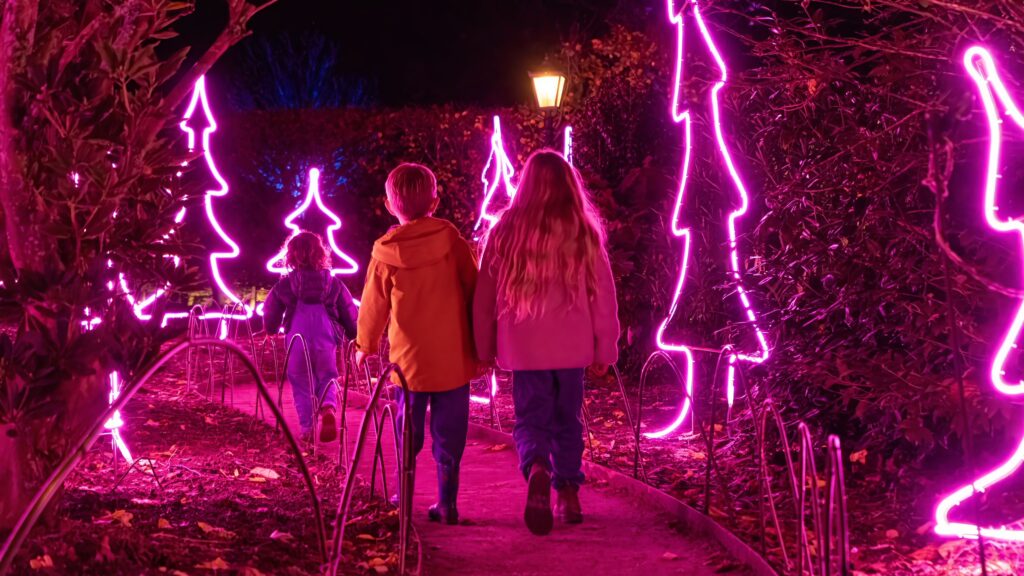 Heligan Night Garden