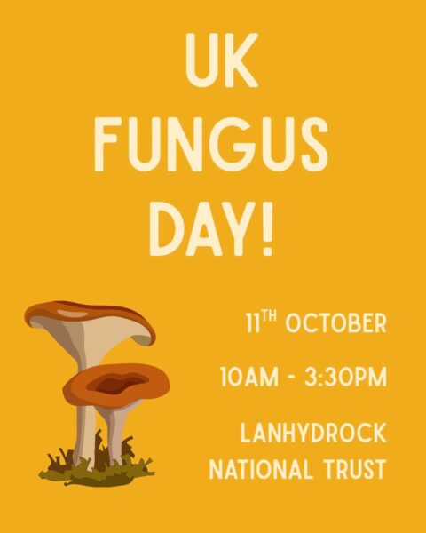 UK Fungus Day Foray at Lanhydrock