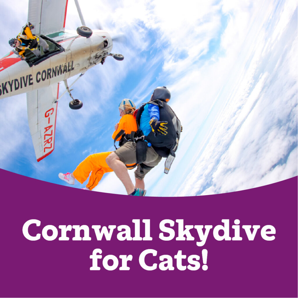 Cornwall Skydive for Cats