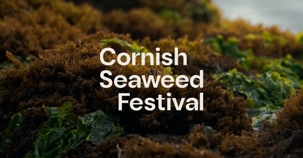 Cornish Seaweed Festival