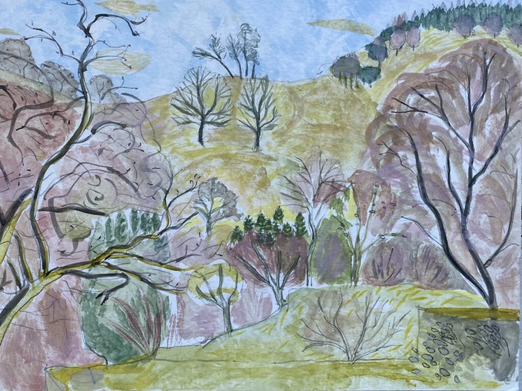 THE WONDER OF TREES