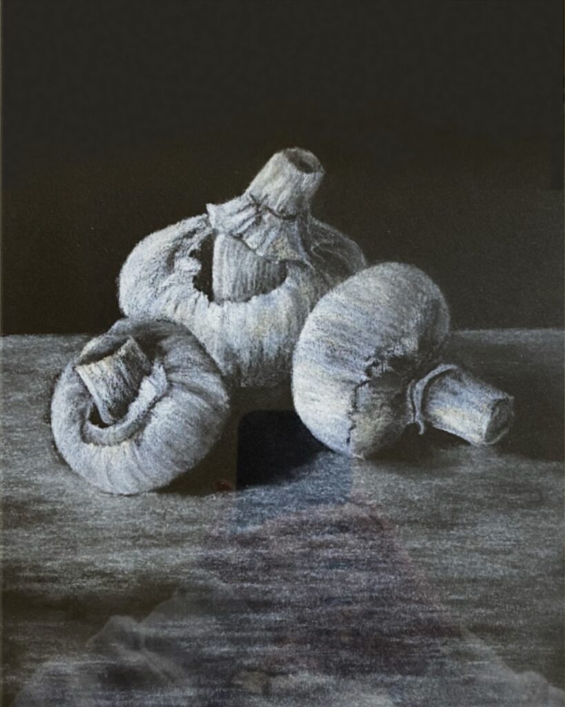 Constantine Arts Society Annual Exhibition