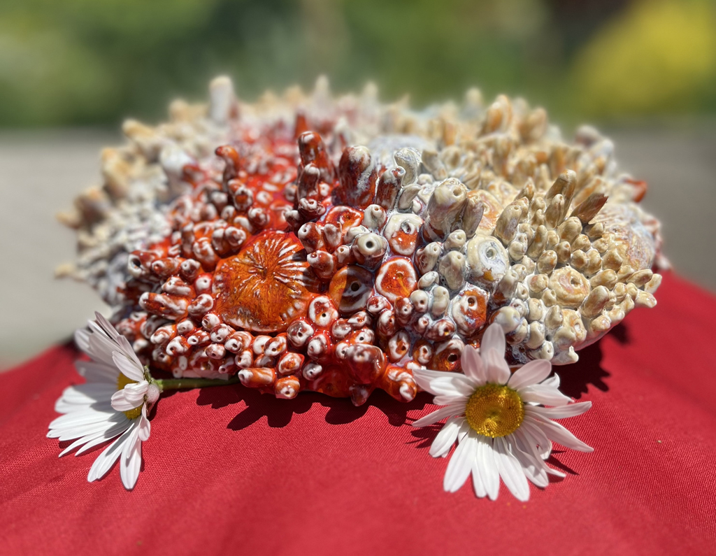 MAC | RAGS Reflections