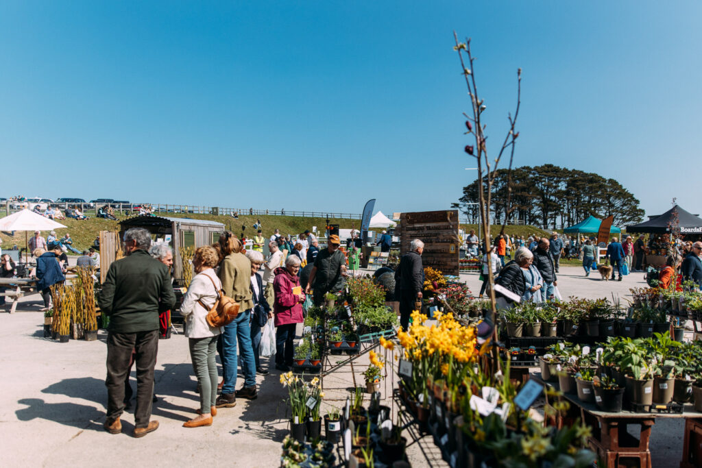 Spring Flower Show