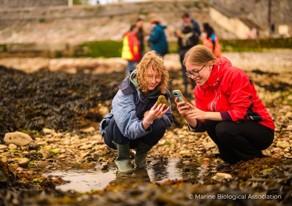 Community BioBlitz Festival