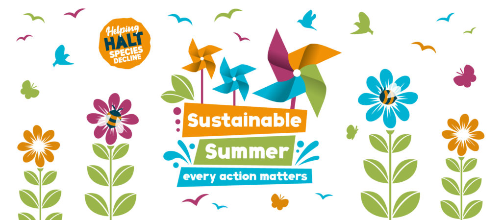 Sustainable Summer at Newquay Zoo