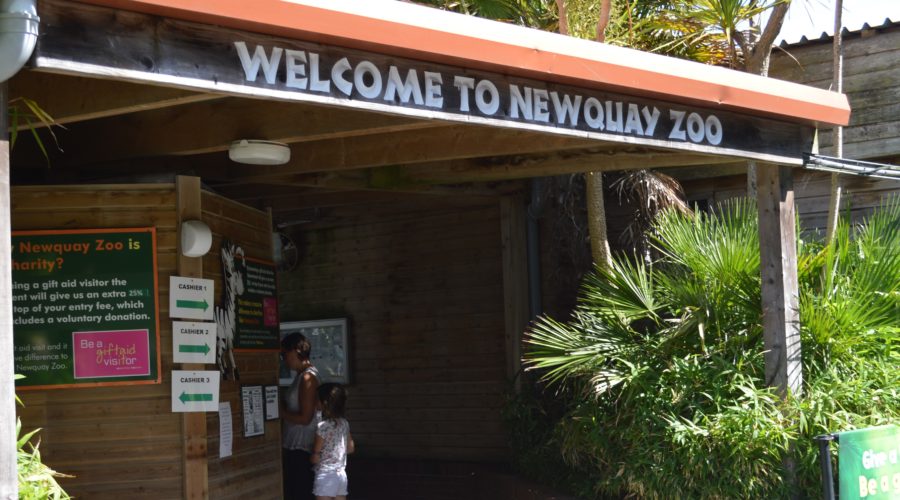 Cornish Week at Newquay Zoo