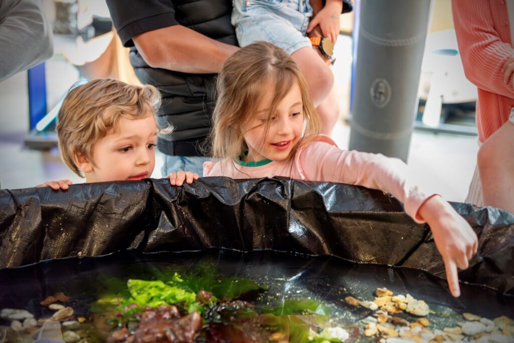 Rock Pool Explorers