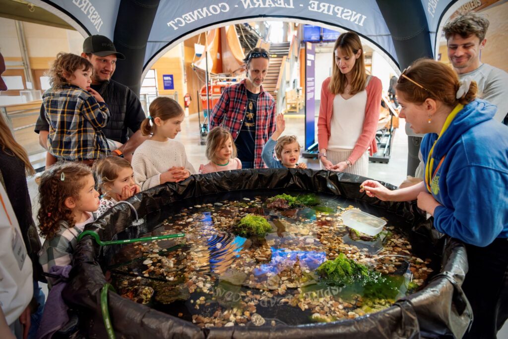 Rock Pool Explorers
